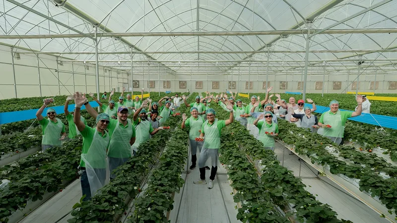 FoodTech Challenge participants visiting a sustainable agriculture facility in Abu Dhabi