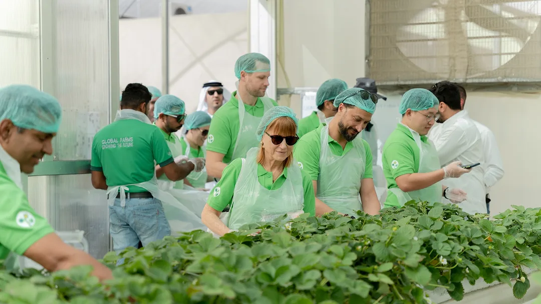 FoodTech Challenge participants touring a greenhouse during the finalist programme in Abu Dhabi