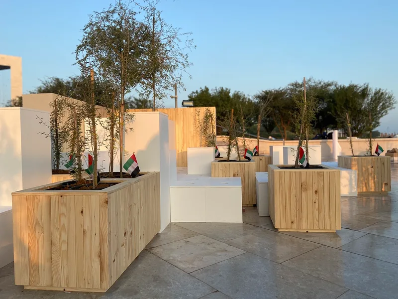 Ghaf trees displayed as part of the Founder’s Memorial public activation