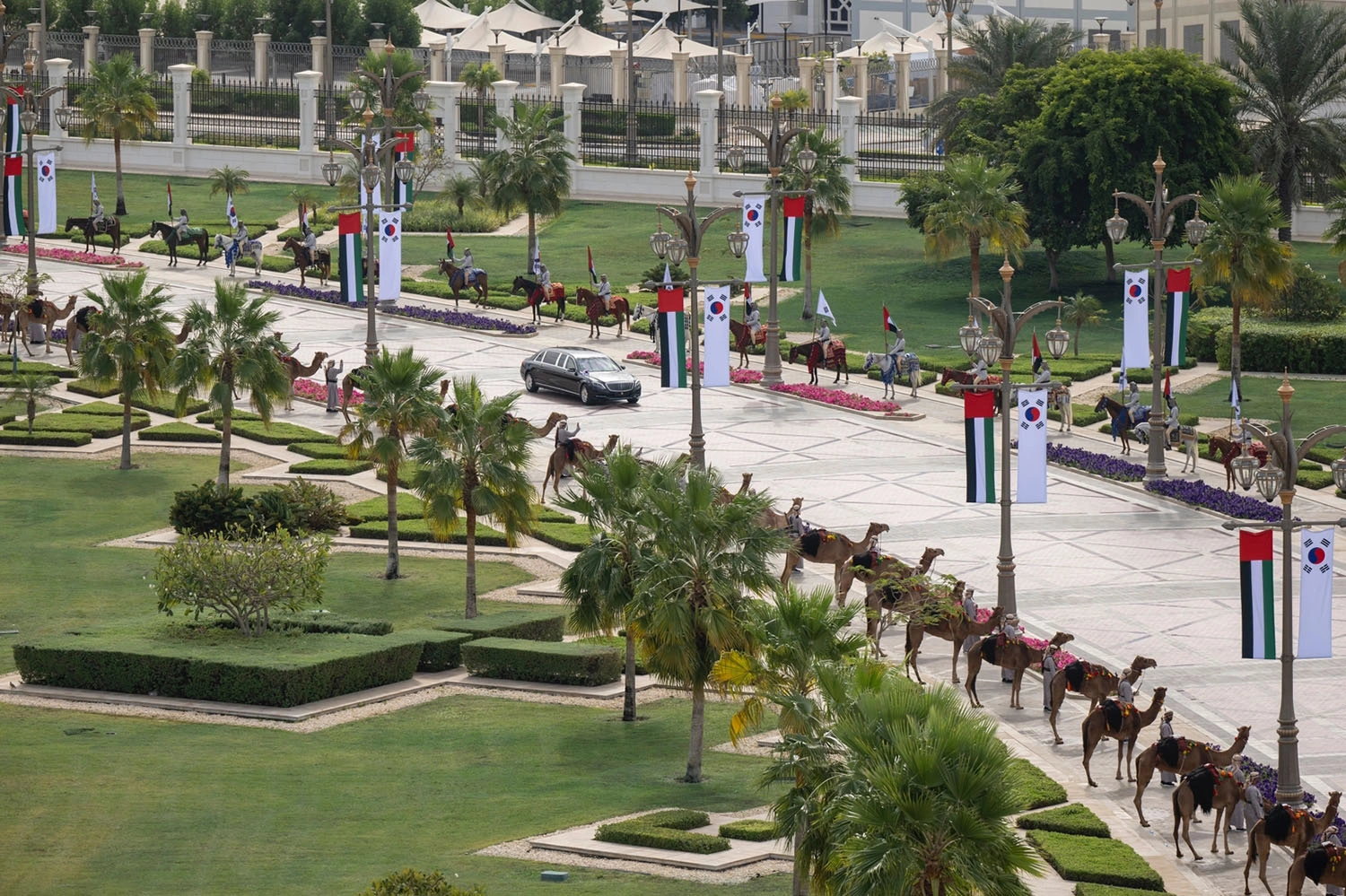 Official motorcade with ceremonial camel procession and UAE and South Korean flags at Qasr Al Watan